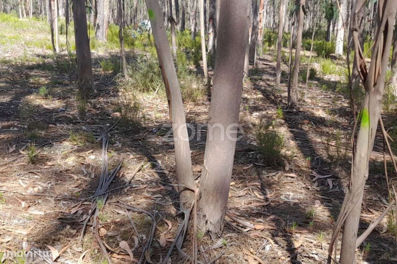 Terreno rústico - Grande imagem: 5/23