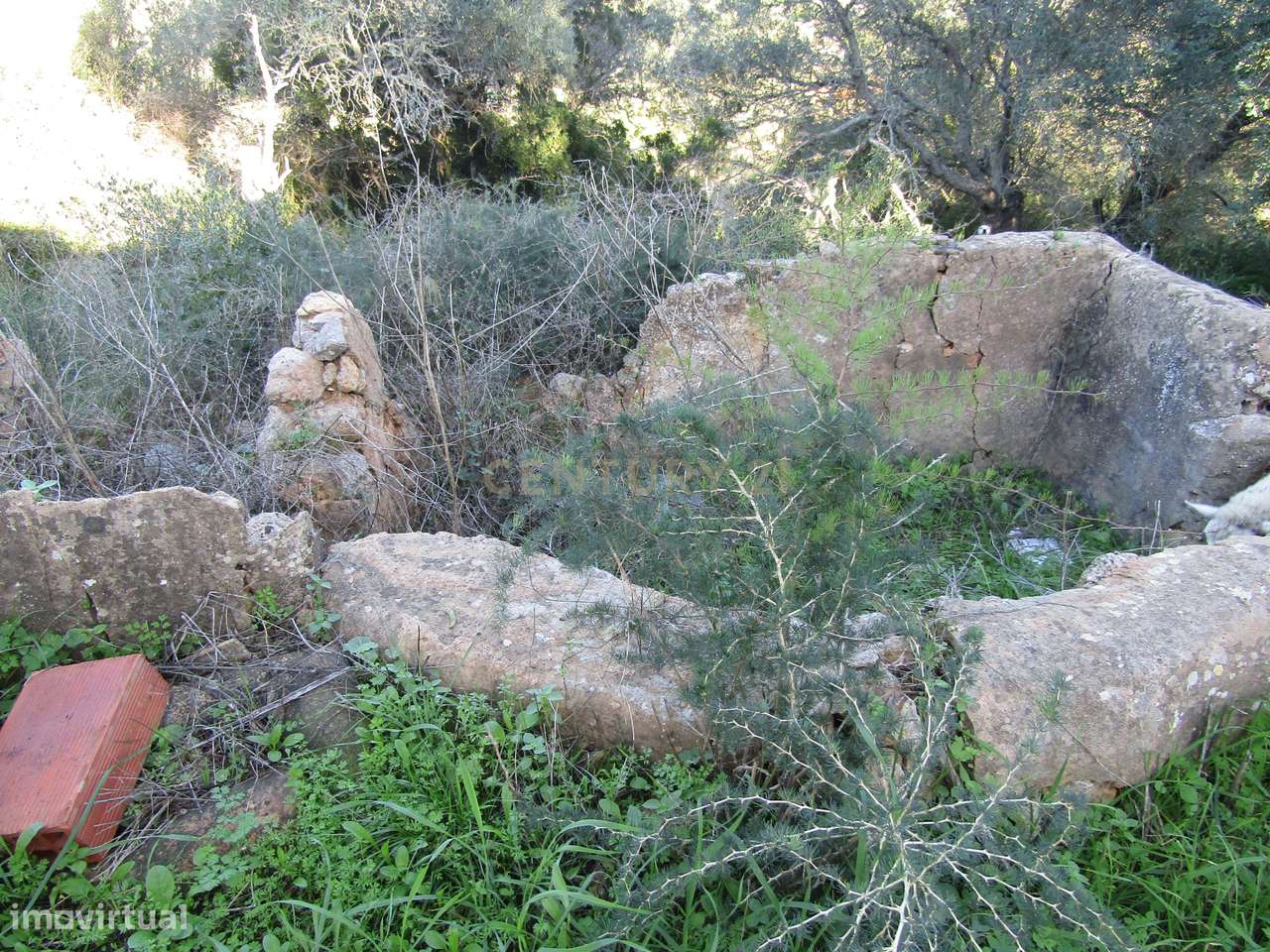 Moradia para restaurar - Grande imagem: 4/7