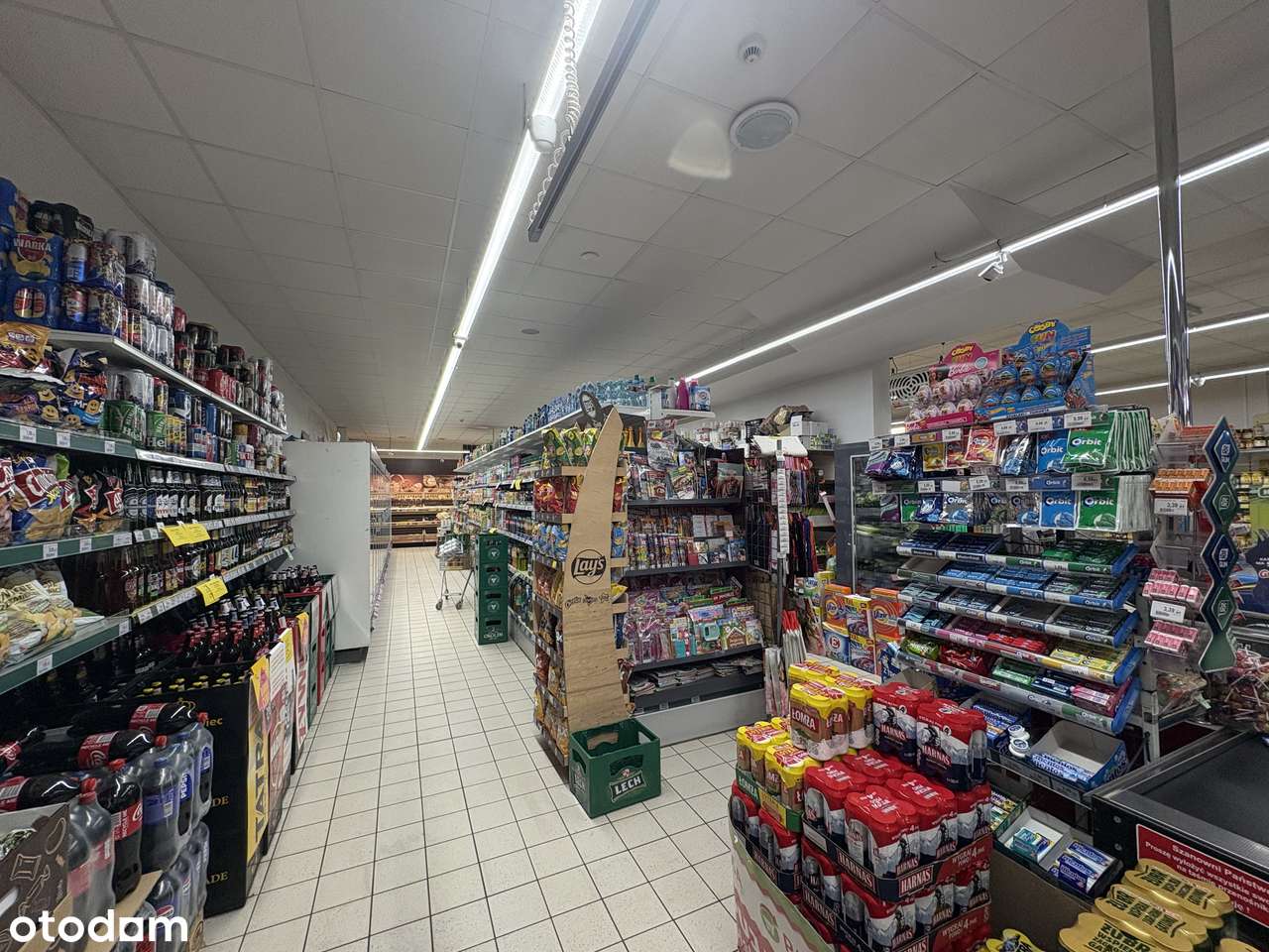 Do wynajęcia budynek użytkowy 508 m² – Ropczyce, ul. Św. Barbary - Pełny obrazek: 4/5