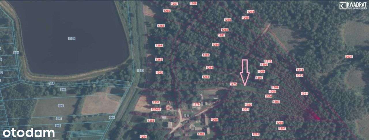 Działka o pow. 20ar/Tyśmienica, gm. Parczew - Pełny obrazek: 5/6