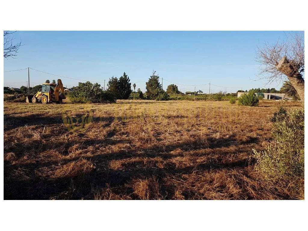 Terreno Rústico com PIP - 6.000 m² - Lau, Palmela - Grande imagem: 3/5