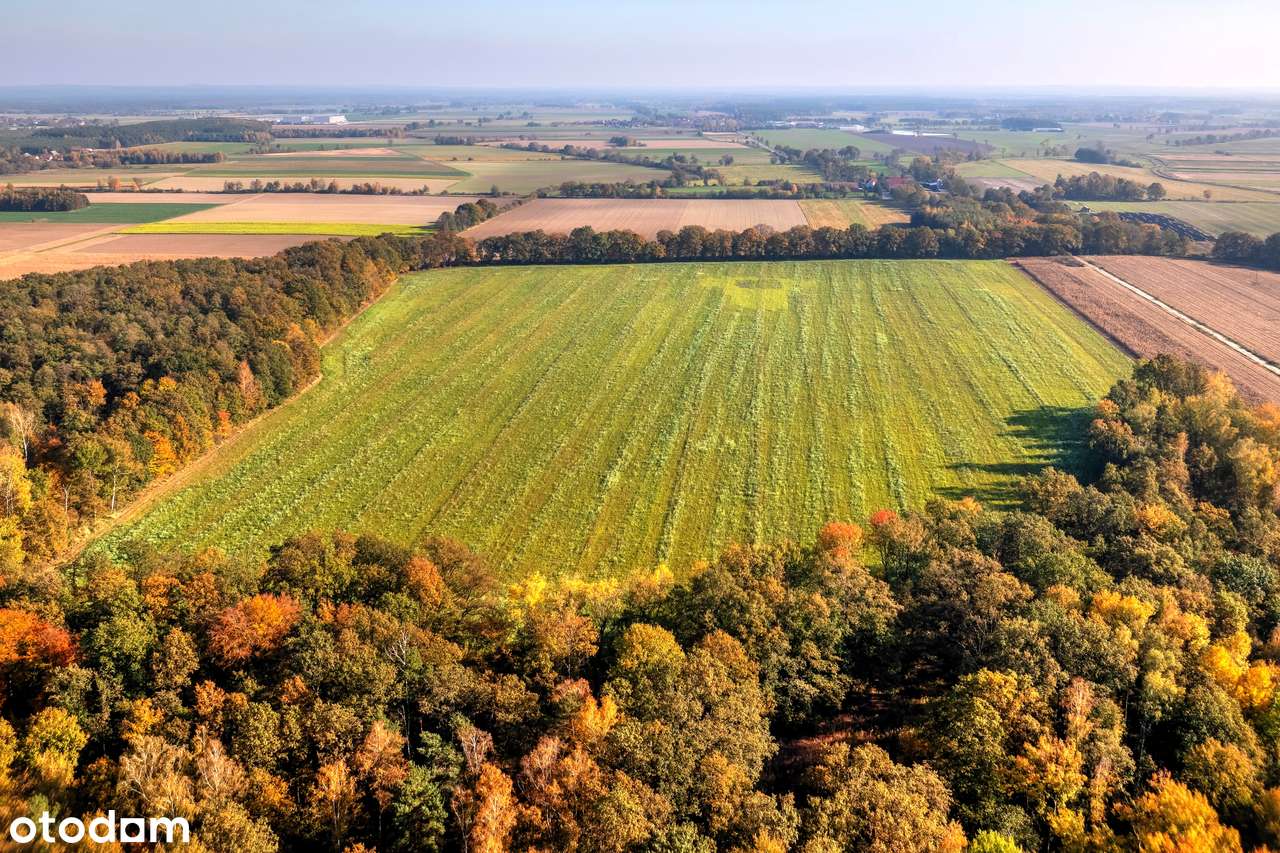 Działka inwestycyjna - hotel, dom opieki, centrum rehabilitacji, sport-7