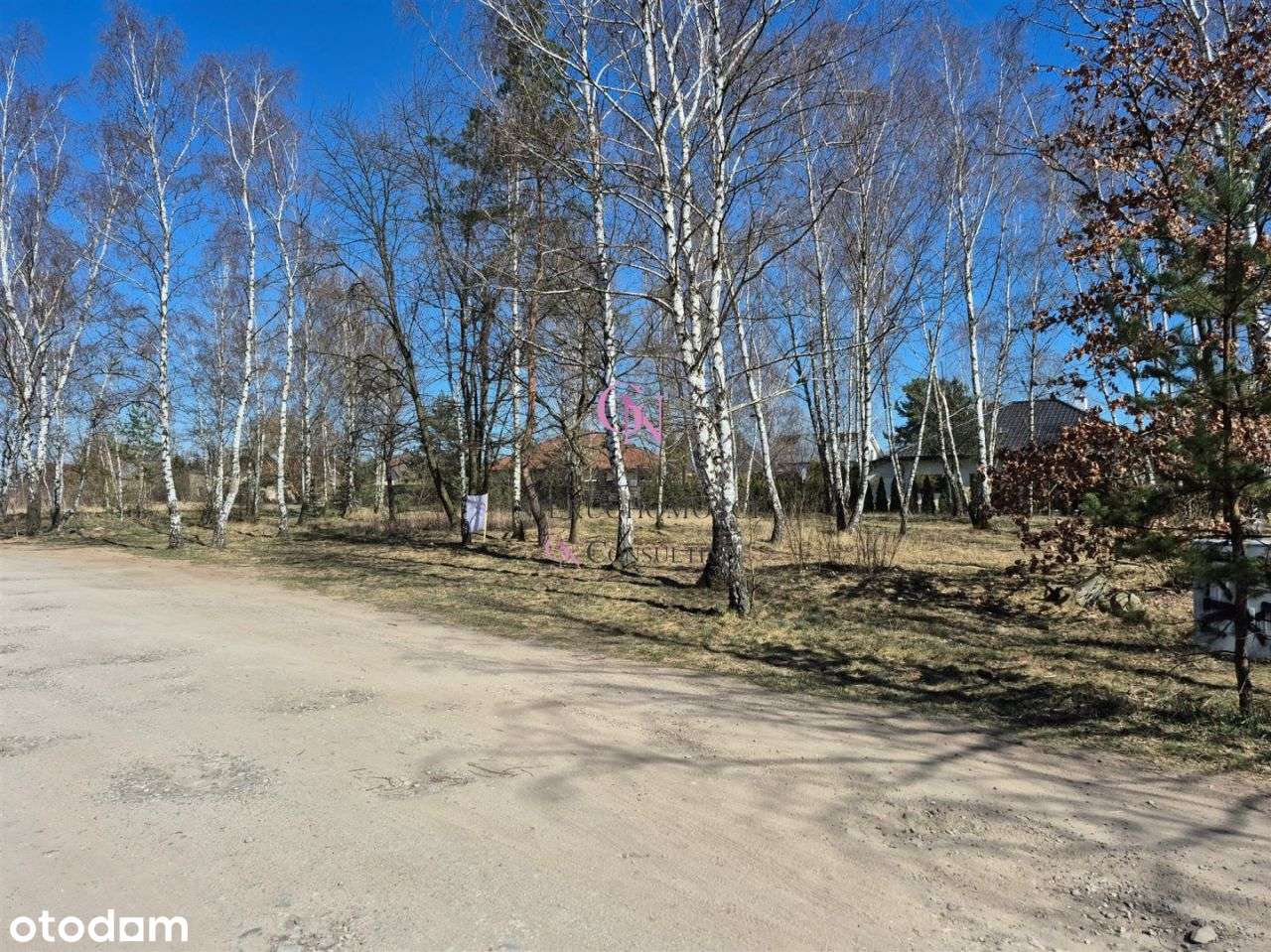 Cena z projektem, pozwoleniem na budowę i wycinką - Pełny obrazek: 5/8