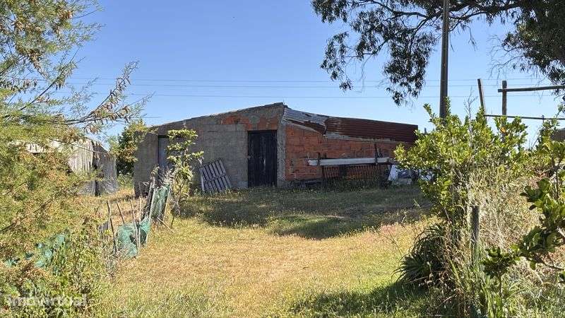 Terreno com ruinas Costa Alentejana - Grande imagem: 5/8
