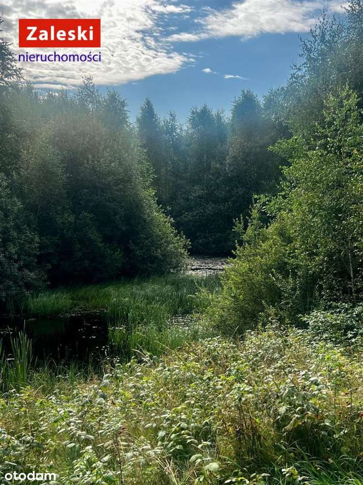 Działka pod agroturystykę lub własną oazę spokoju.-4