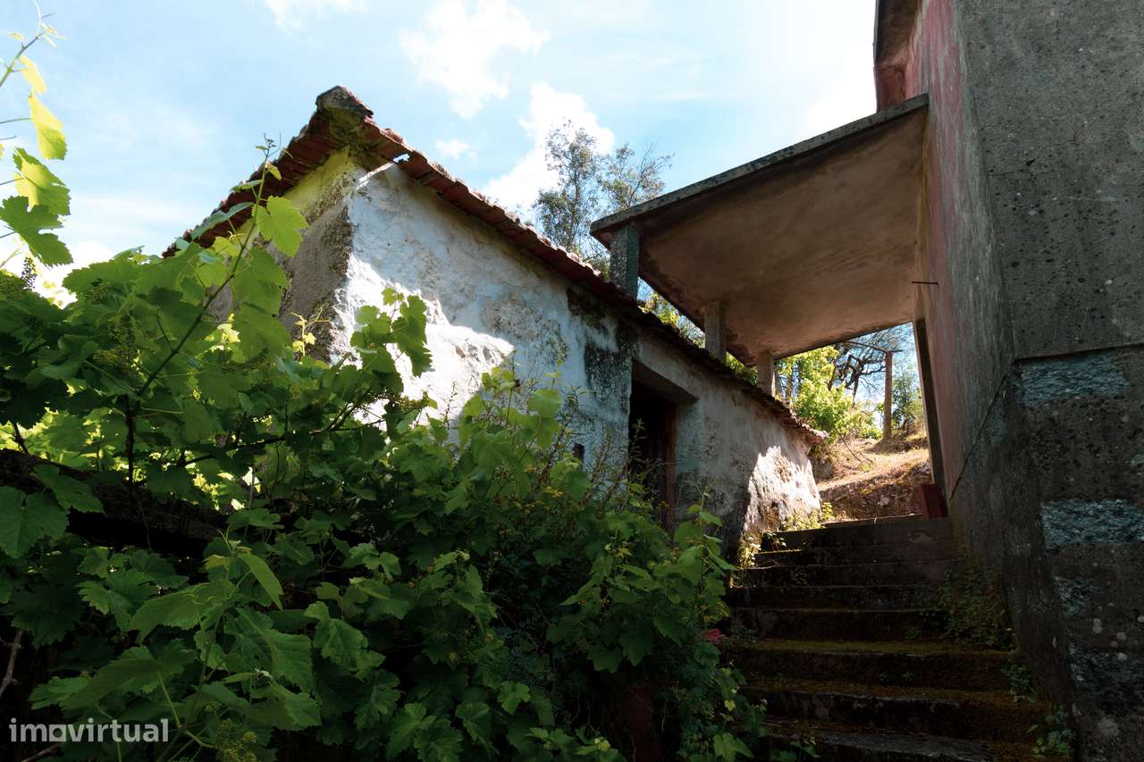 Quintinha com Vista para o Rio Douro – Baião-6