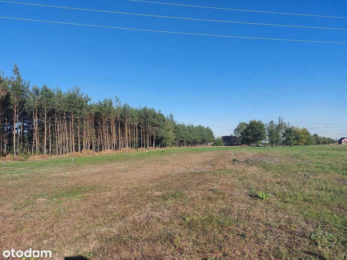 Działka budowlana 11,39 ar Brzyście NOWA CENA OKAZJA do negocjacji.-5