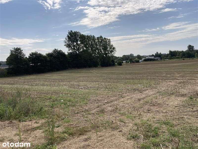 Działka usługowa - Kielno-6