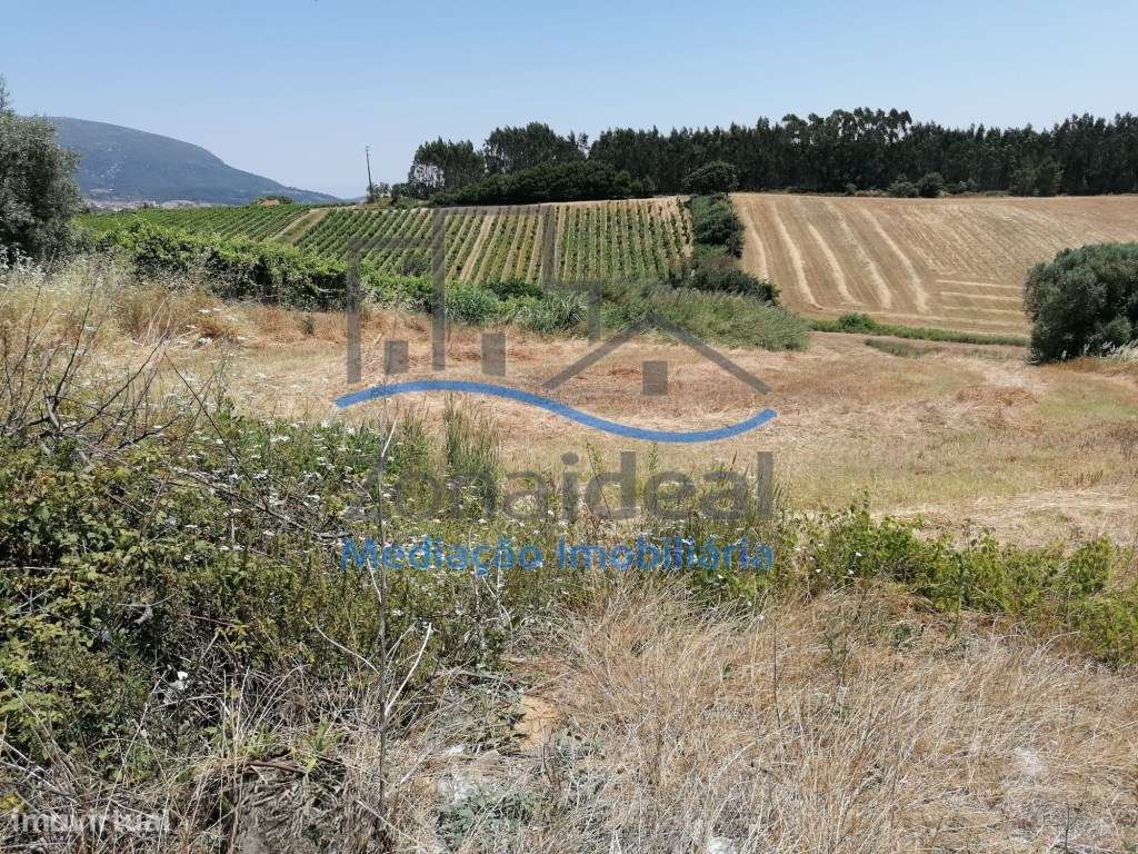 Terreno localizado em Penafirme da Ventosa, Alenquer-14