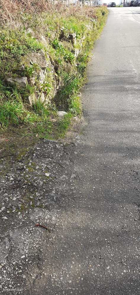 Terreno em Lobão-15