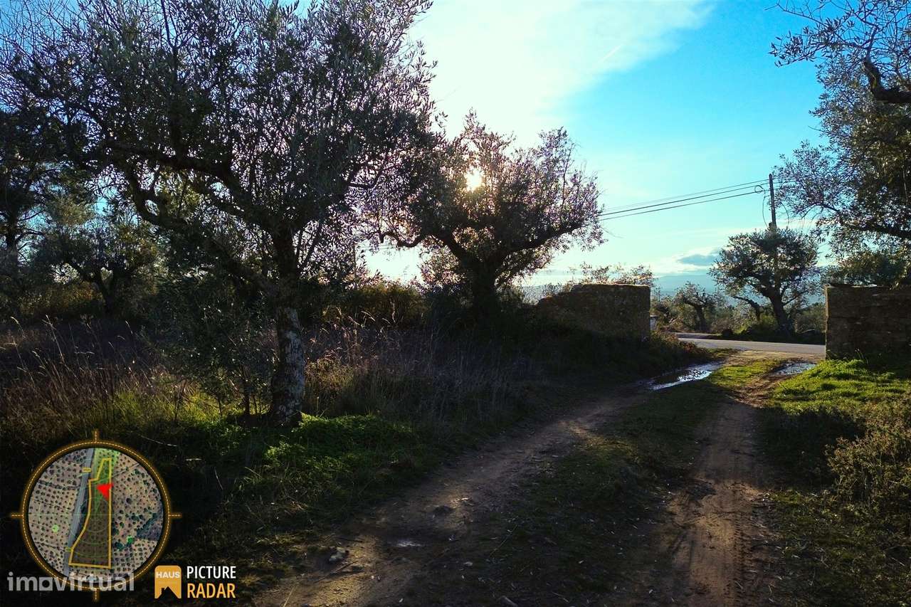 Terreno Plano 6.700m² c/ Vistas Panorâmicas – Salgueiro do Campo-12
