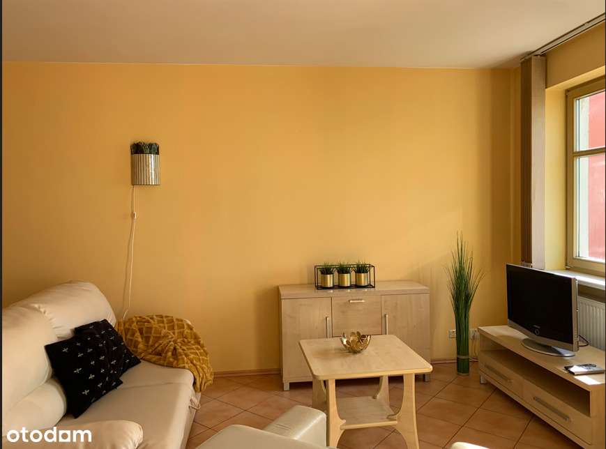 Duża kawalerka na wynajem! - Pełny obrazek: 3/11