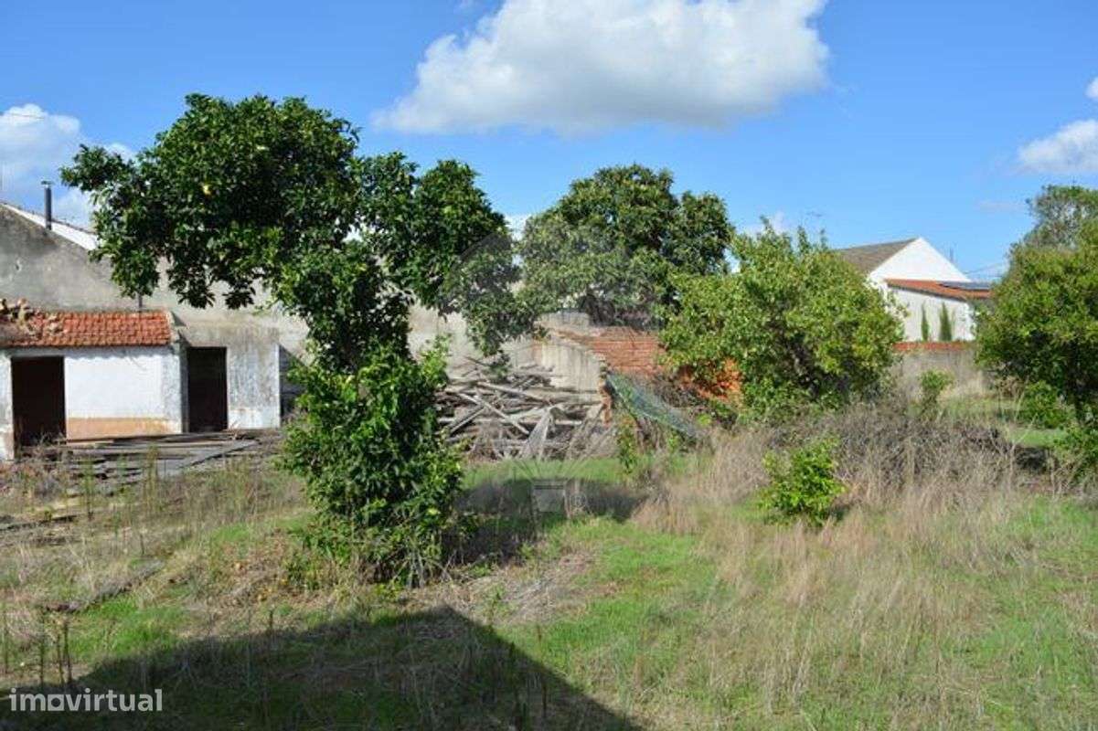 Terreno  para venda-7