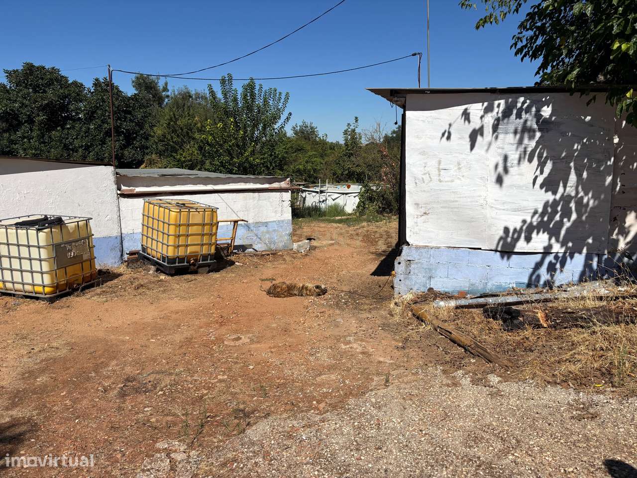 Quintinha com Moradia T2 + Armazém | 2ha vedados | Rio | Fruteiras | A-45