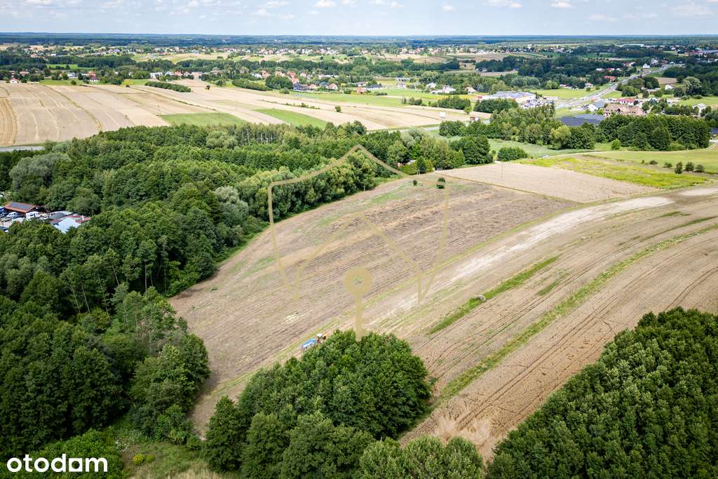 Grunt z potencjałem - Pełny obrazek: 5/13