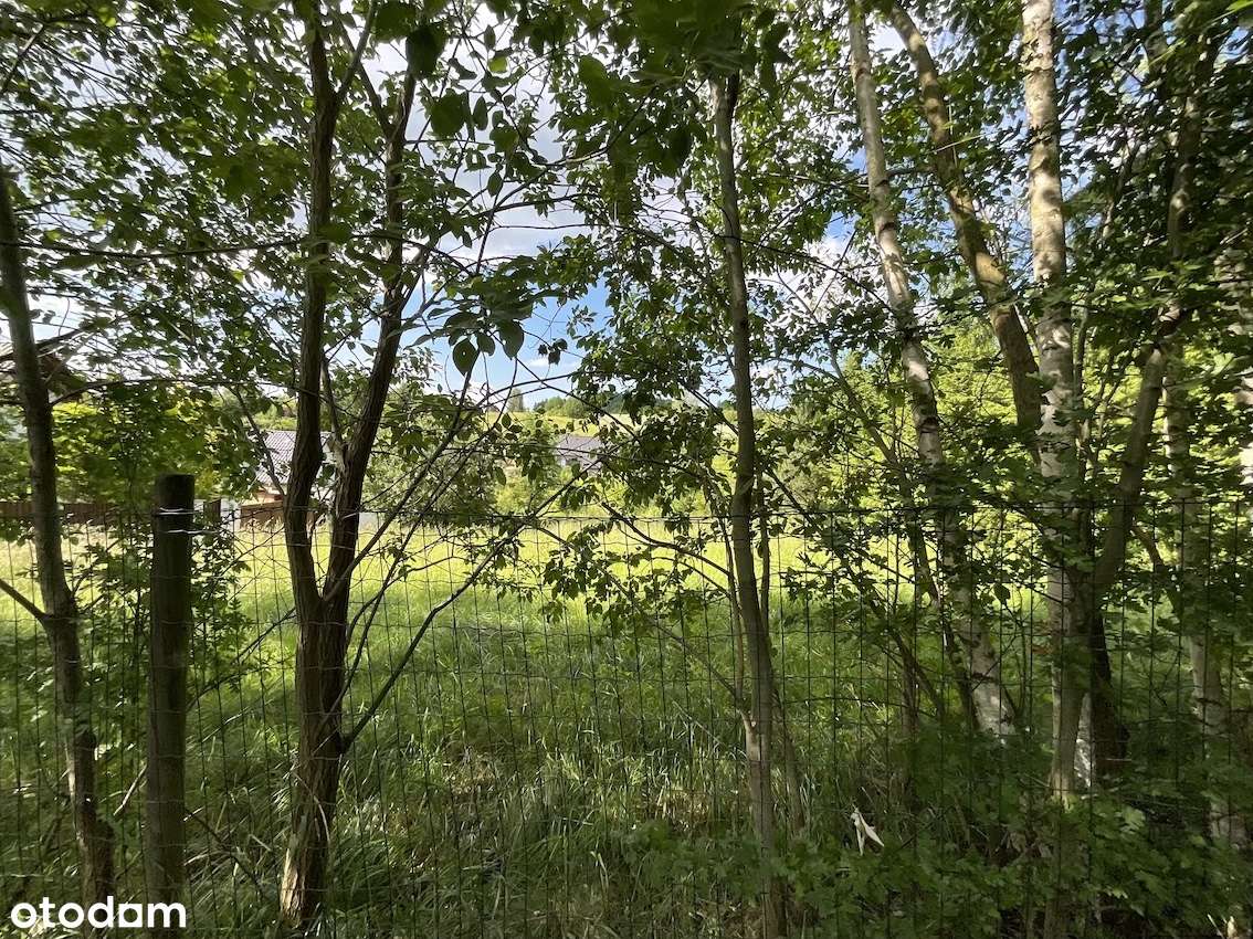 Januszowice 8,5 ar budowlane, media - Pełny obrazek: 4/8