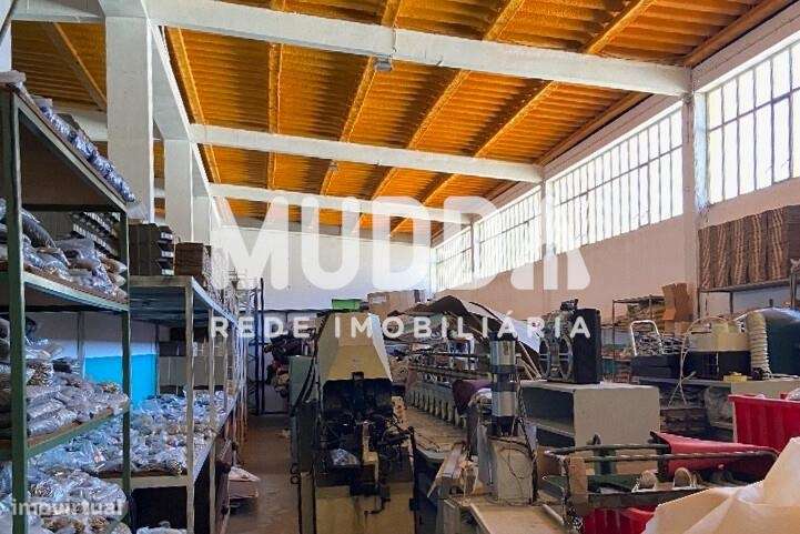 Espaçoso Pavilhão na Zona Industrial de São João da Madeira-7