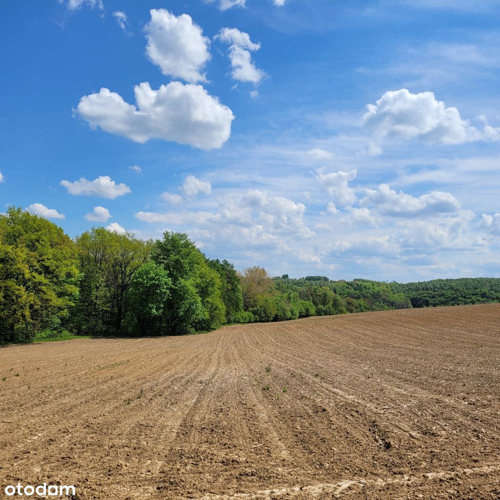 160 działek budowlanych | MPZP |woda i kanalizacja - Pełny obrazek: 5/17