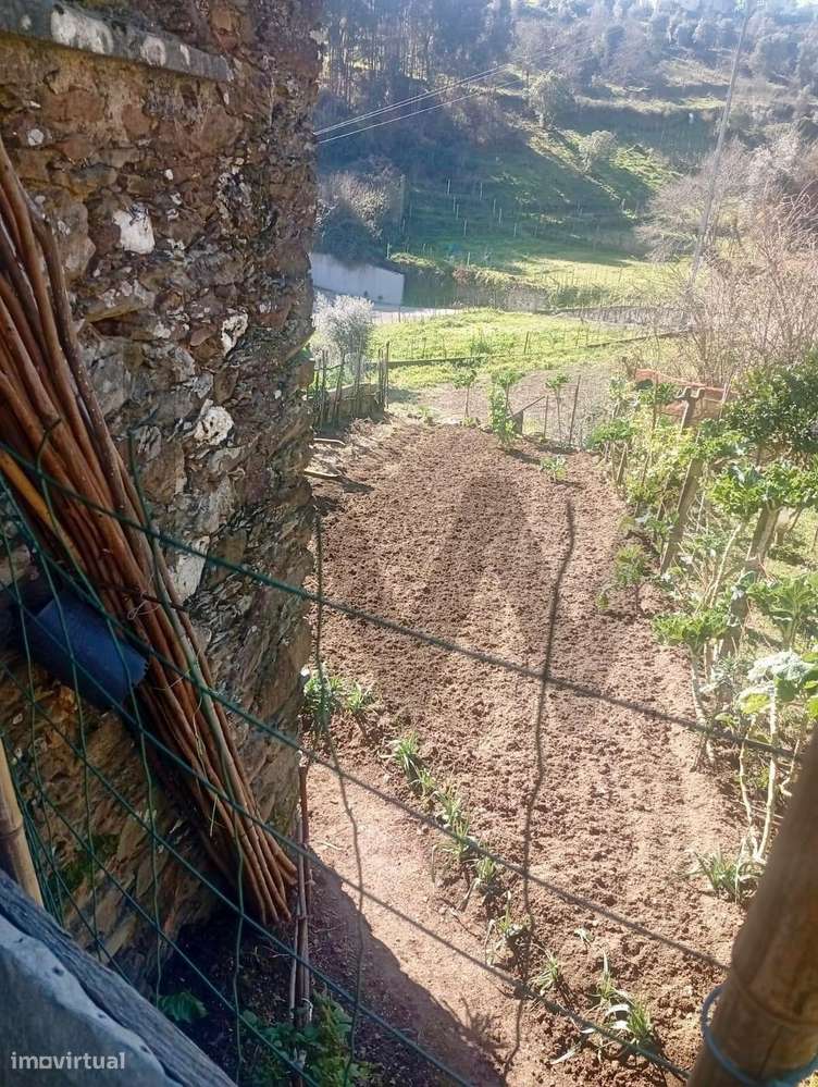 Moradia para reabilitar em São Mamede, Concelho de Penacova - Grande imagem: 4/8