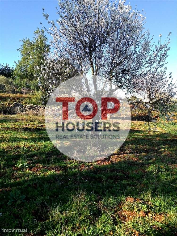 Terreno Rústico - Certificação Biológica - 7ha - Grande imagem: 2/5