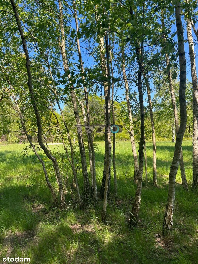 Działeczka jak na wakacjach a tylko 5 minut od mos