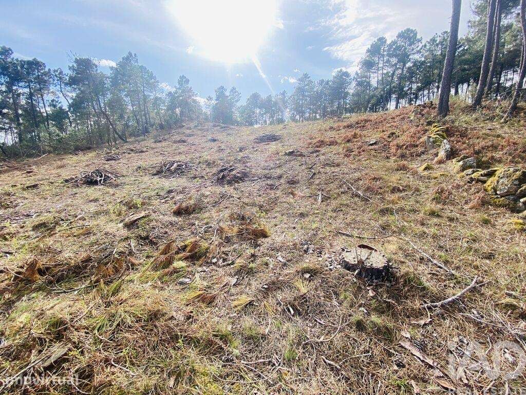 Terreno para construção em Mouçós e Lamares de 3484,00 m2 - Grande imagem: 5/27
