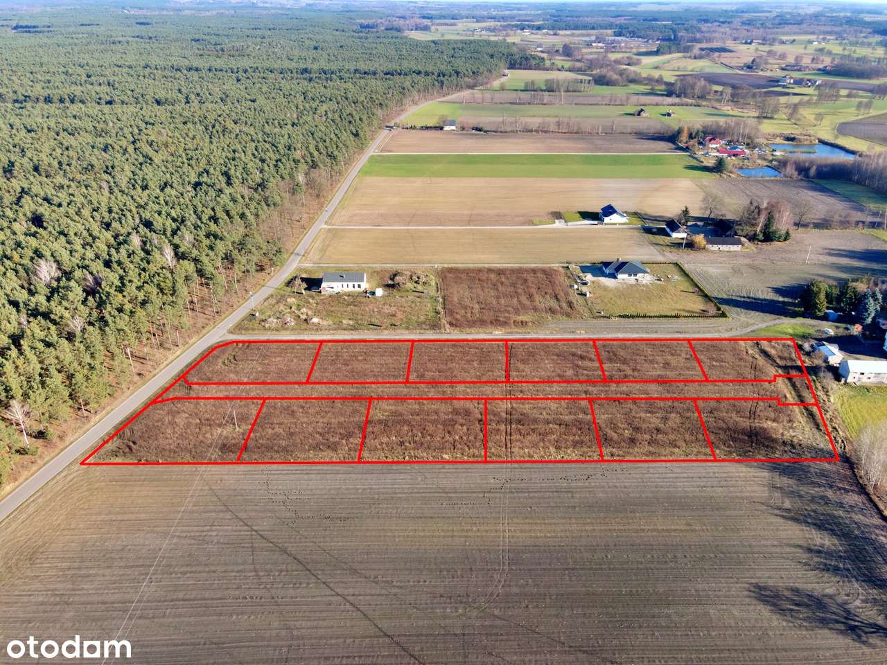 Działki budowlane Kuźnica, gm. Ceków-Kolonia - Pełny obrazek: 2/10