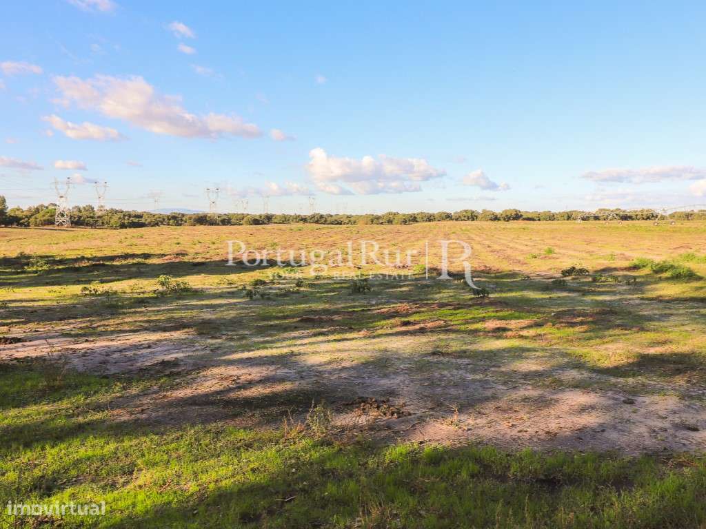 Herdade de 60 hectares para criação bovina e equina perto de Lisboa-49