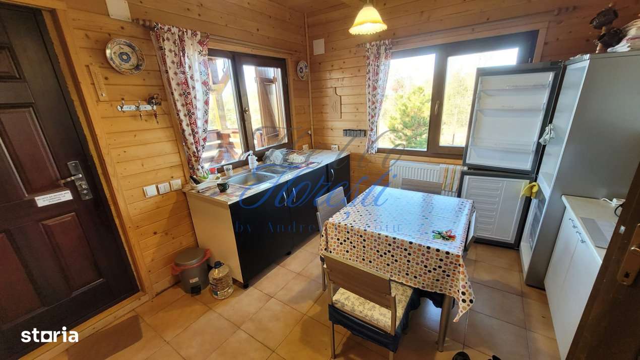 Cabana pe 2 nivele, 1600 mp teren, garaj, zona Rasca - Imagine principală: 4/19