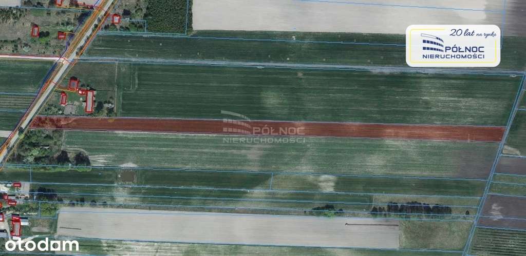 Działka 1,45ha z możliwością zabudowy - Kolembrody - Pełny obrazek: 4/6