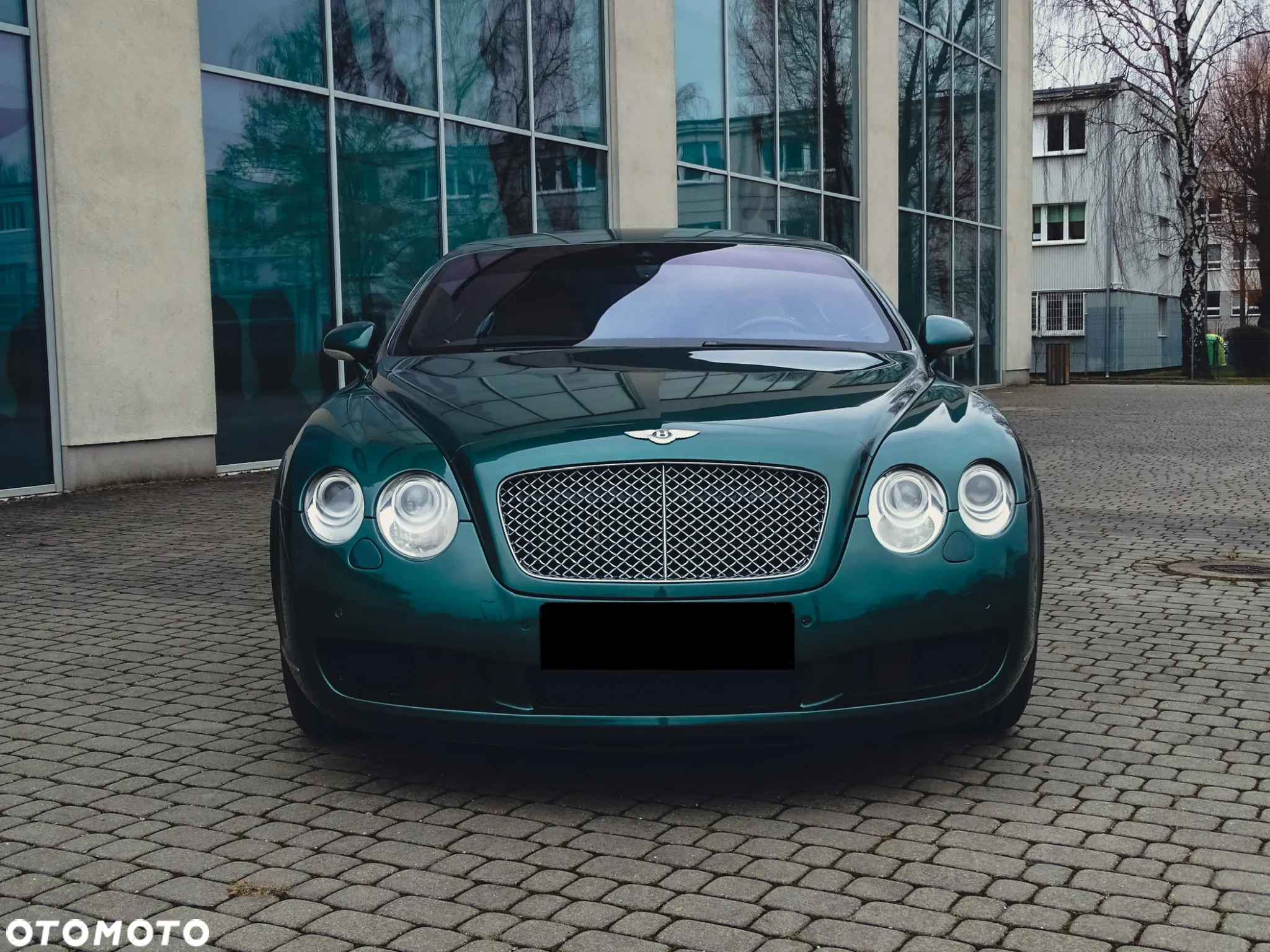 Bentley Continental GT Standard - 8