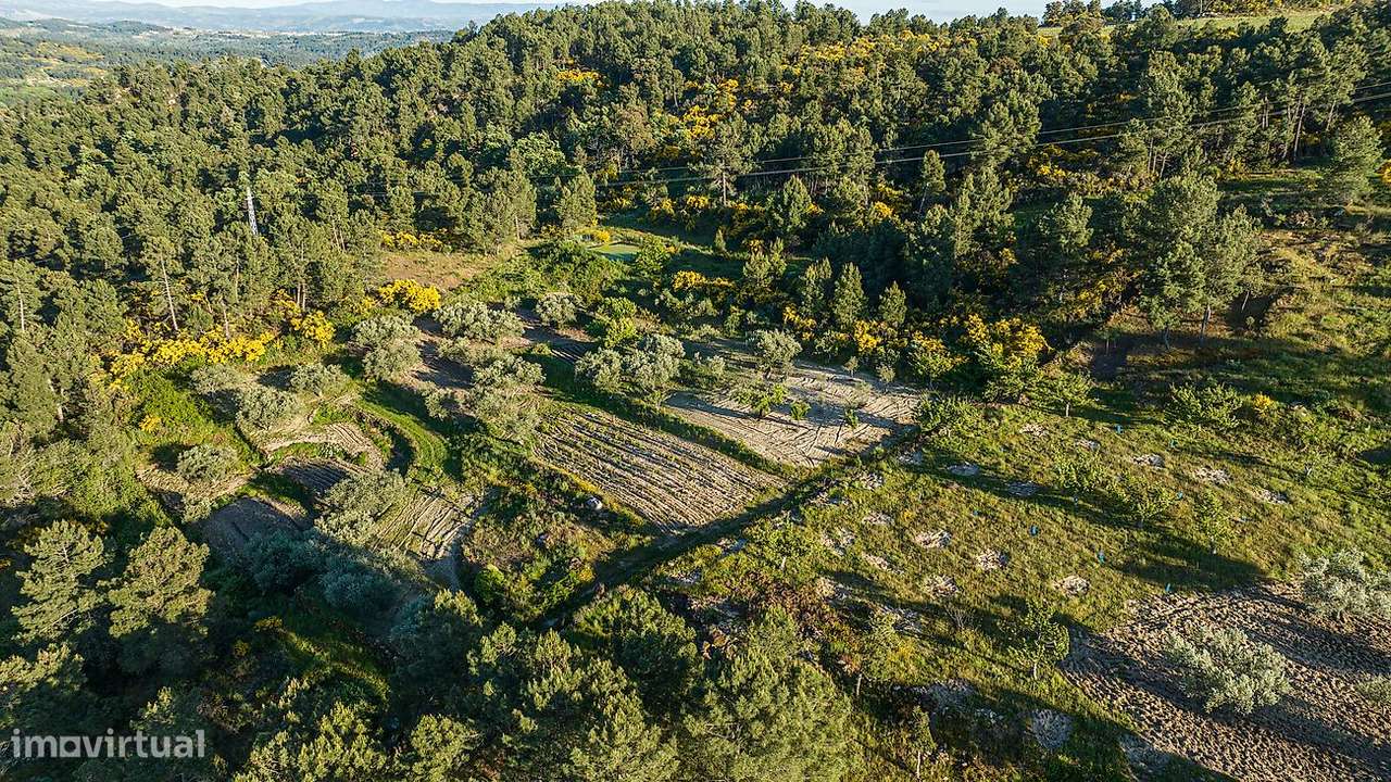 Terreno  para venda - Grande imagem: 3/16