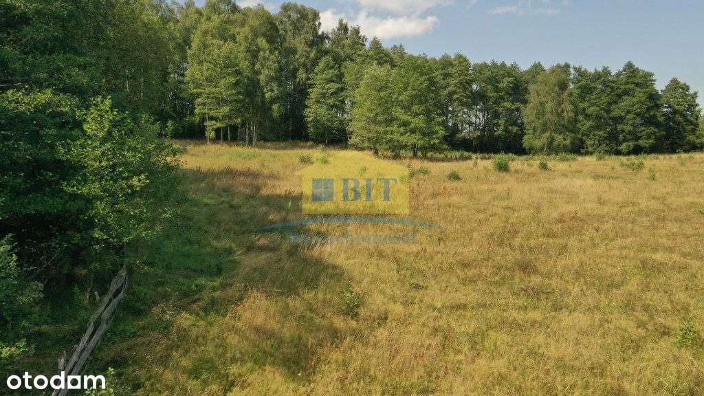 Kompleks działek z dostępem do jeziora Siecino ! - Pełny obrazek: 5/5