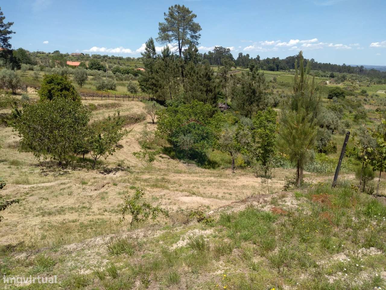 Terreno  Venda em Silgueiros,Viseu - Grande imagem: 5/13