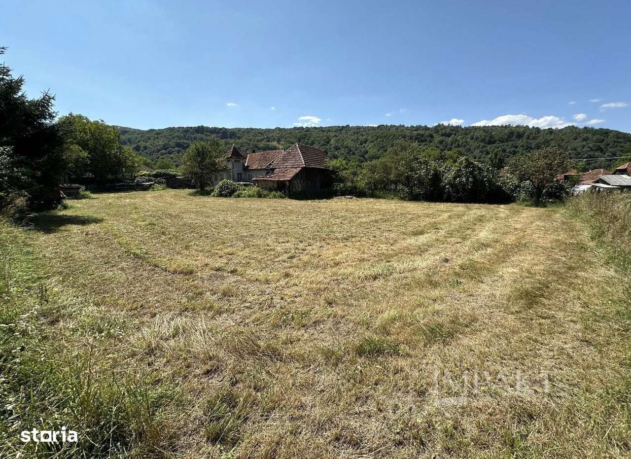 Teren cu casa veche in centrul localiatii Valea Draganului! - Imagine principală: 4/4