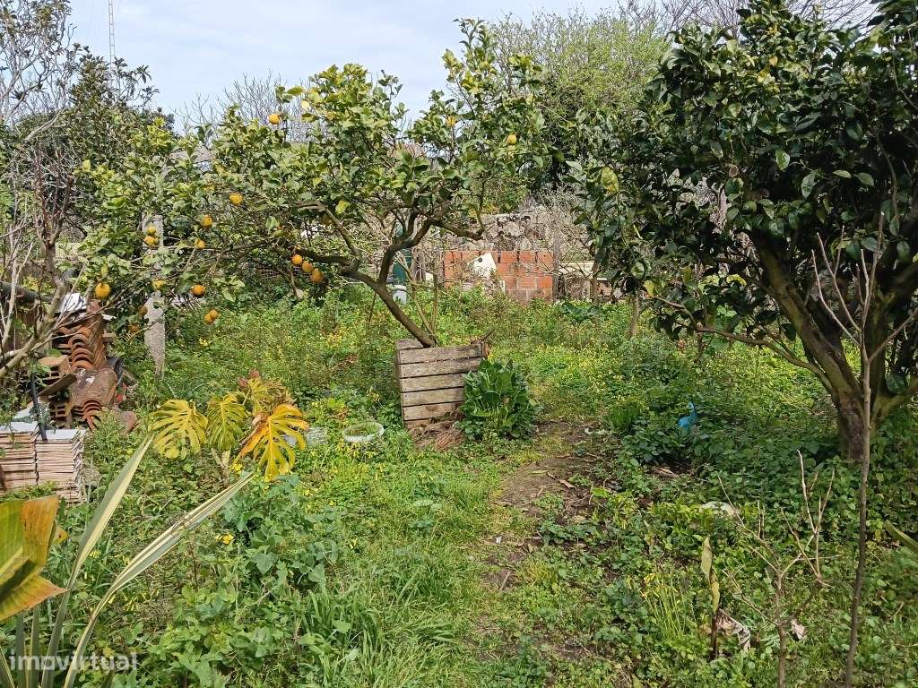 Moradia T2 com Vista Mar em Areosa - Viana do Castelo-4