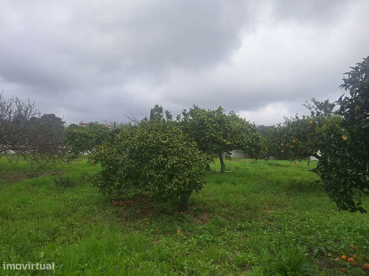 Edificio urbano - Antiga fábrica de cortiça em São Brás de Alportel-10