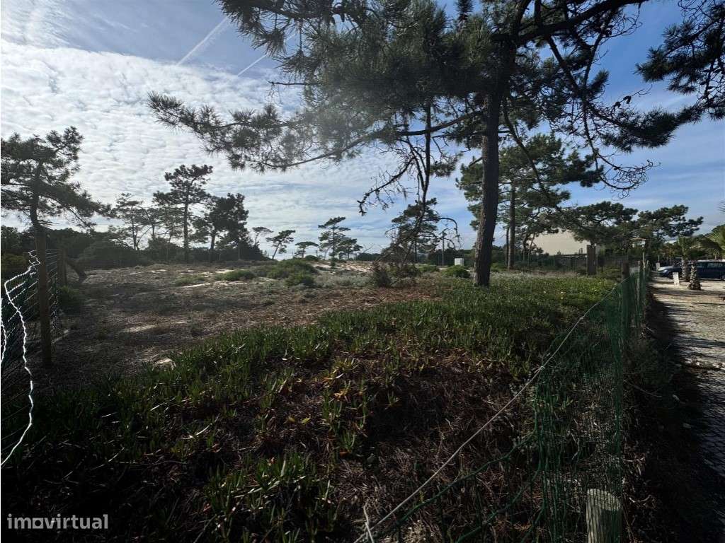 Tróia - Terreno de Luxo à Beira Mar - Grande imagem: 4/8