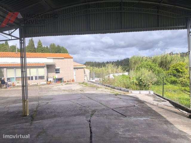 Quinta com Moradia Isolada e 4.450m² de Terreno Oiã Oliveira d Bairro-29