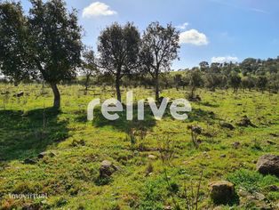 Herdade de 60,7 hectares a poucos minutos de Aljustrel - Grande imagem: 3/23