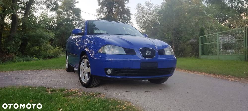 Seat Ibiza - 26