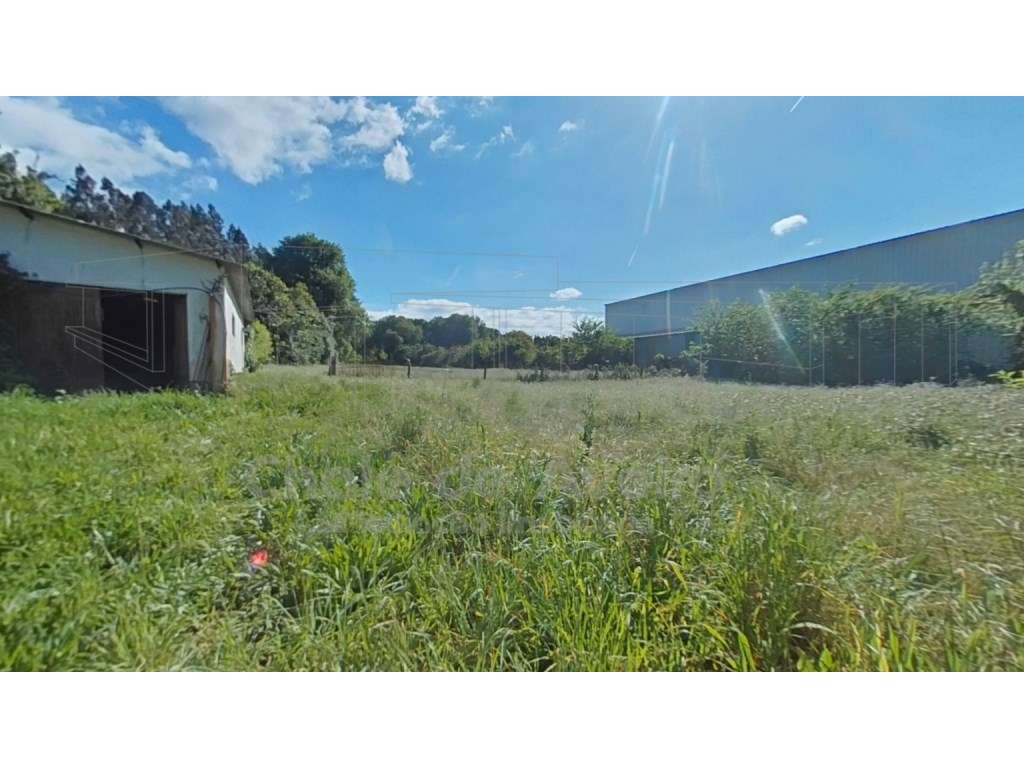 Quinta com 5.000 m2 e casa habitação T5 em Águeda-39