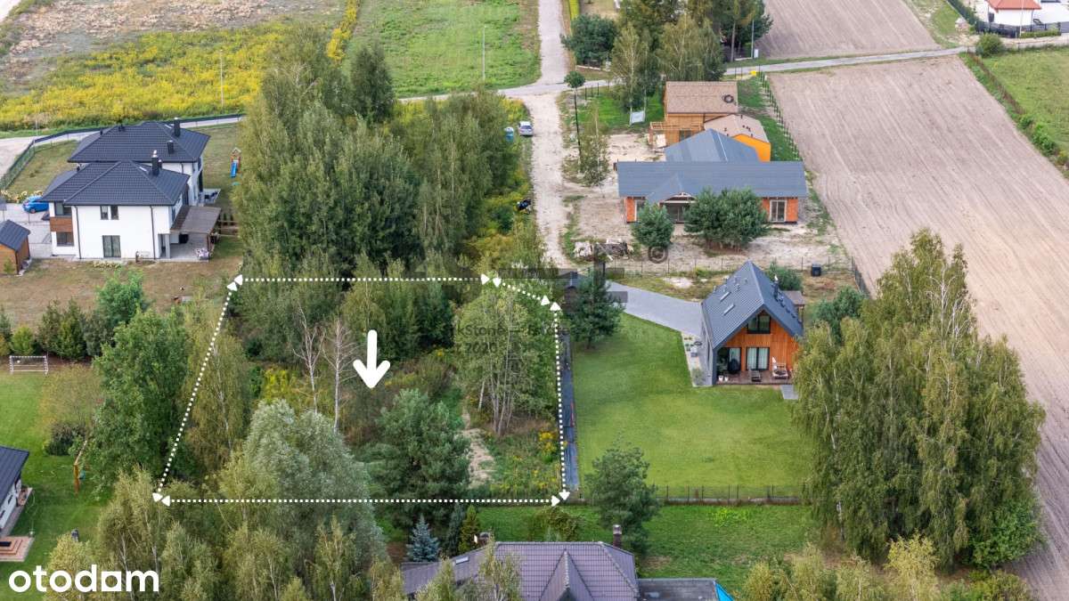 Przy Kampinosie - prąd i woda - drzewa - sprawdź!-3