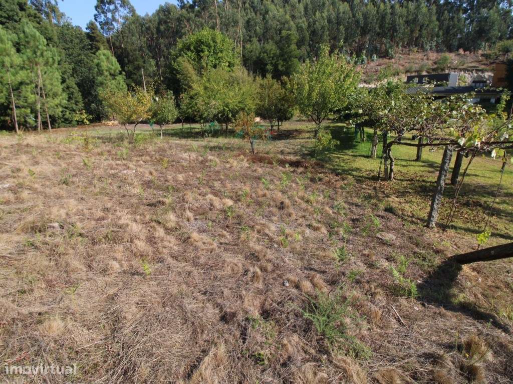 Terreno - Grande imagem: 5/13