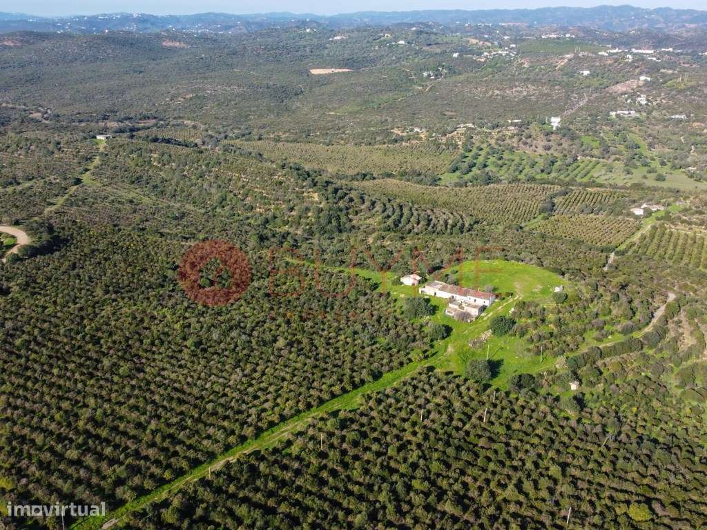 Terreno Misto Exclusivo em Monte Agudo, Tavira - 114 Hectares - Grande imagem: 4/24