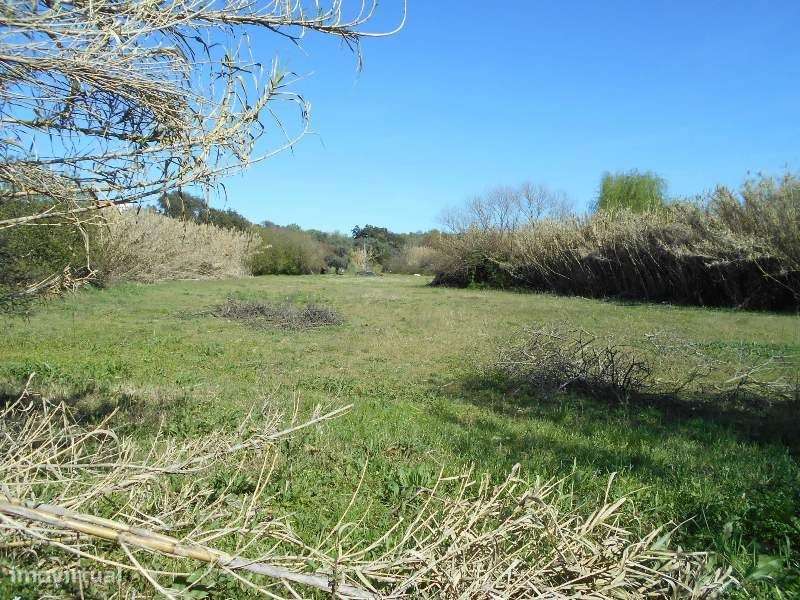 Terreno rústico - Grande imagem: 2/2