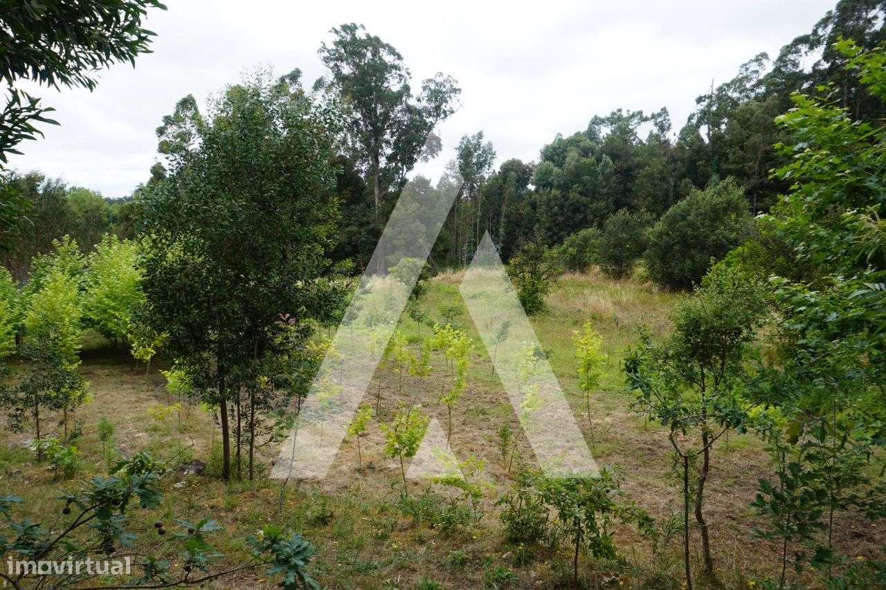 Terreno agrícola situado na zona de Horta em Eixo, Aveiro - Grande imagem: 3/25