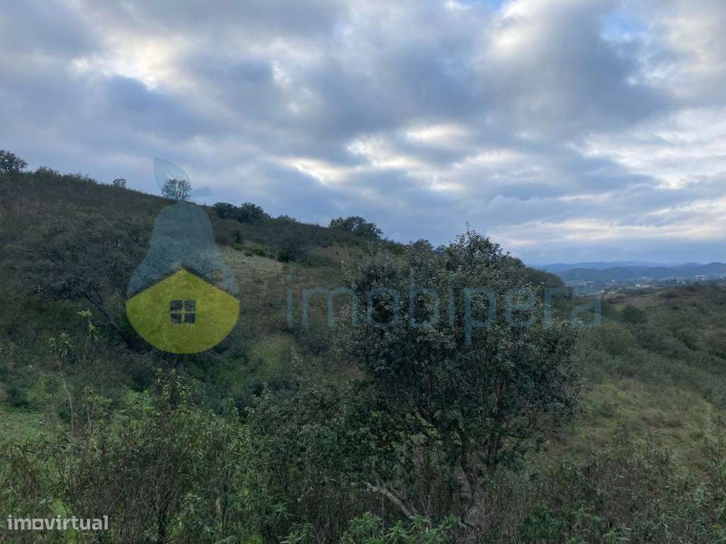 TERRENO RÚSTICO COM 29,296 m2 COM CULTURA ARVENSE - Grande imagem: 5/25