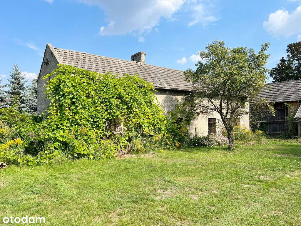 Dom 160m2 na działce 8000m2 Skarżysko-Kamienna - Pełny obrazek: 5/15