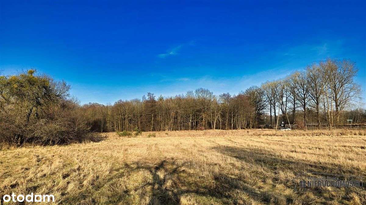 Redło 10 km od Świdwina - działka budowlana na rat-19